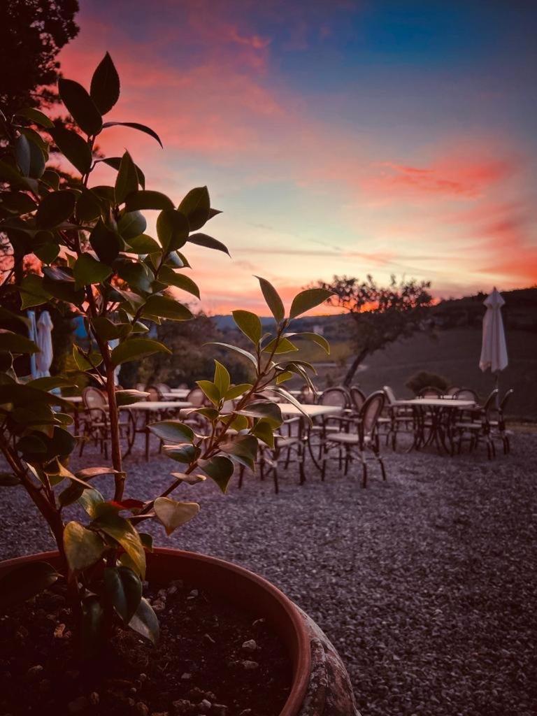 Locanda Podere Le Vigne Radda in Chianti Exterior foto